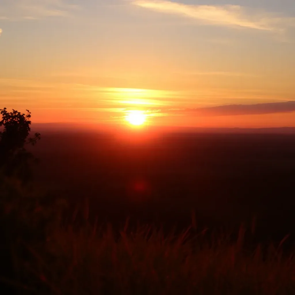 A scenic view symbolizing remembrance and love.
